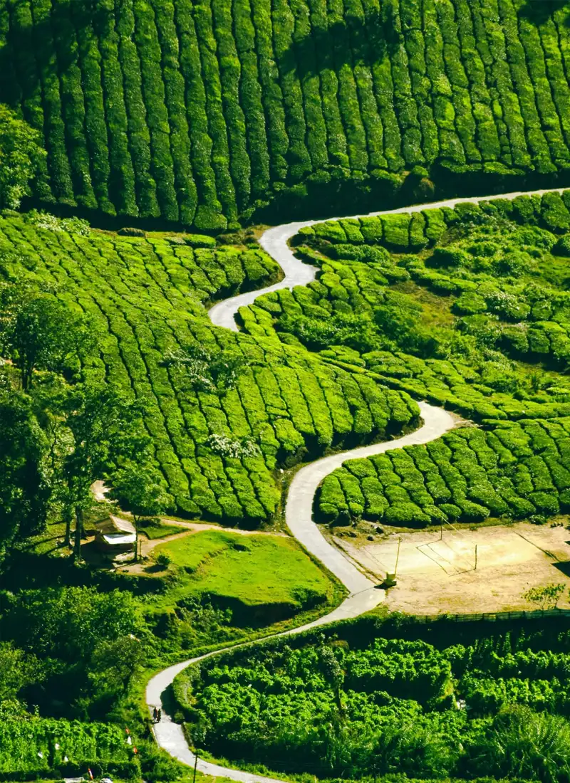 Kerala travel experience with Southern Holidays
