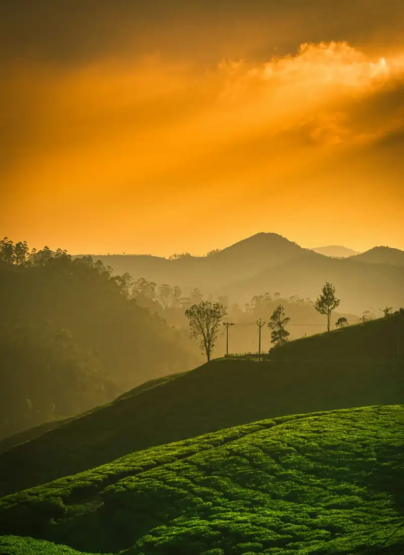 Customized Kerala holiday with Southern Holidays